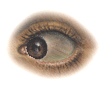 eye9